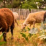 En Nature - 30 Min Saint-emilion - Salle De Bain A L'italienne Prázdninový dům