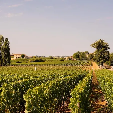 Prázdninový dům En Nature - 30 Min Saint-emilion - Salle De Bain A L'italienne