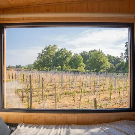 Prázdninový dům En Nature - 30 Min Saint-emilion - Salle De Bain A L'italienne