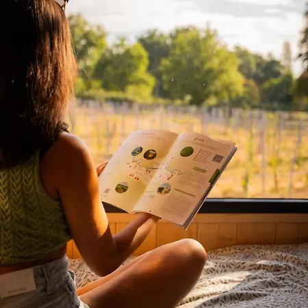 Prázdninový dům En Nature - 30 Min Saint-emilion - Salle De Bain A L'italienne *