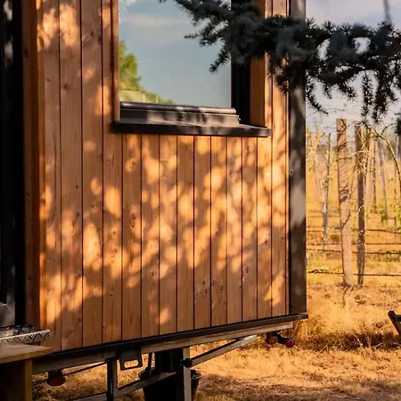 Prázdninový dům En Nature - 30 Min Saint-emilion - Salle De Bain A L'italienne *